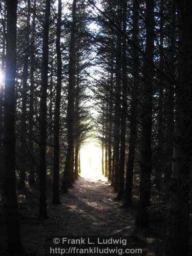 Around Lough Arrow